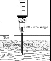 Intramuscular